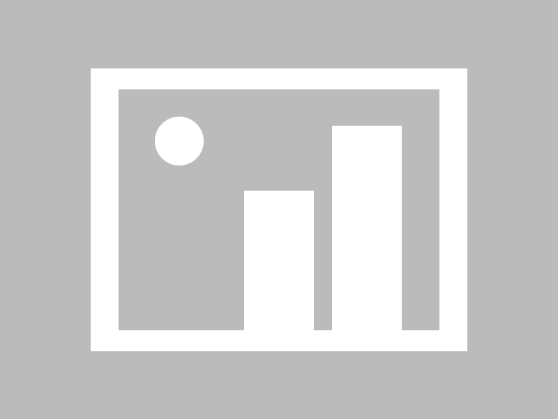 塞尔维亚女篮在欧洲锦标赛中全力拼搏，享受荣誉时刻，塞尔维亚女篮球